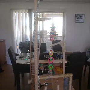 Home Made Bird Playground