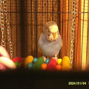 Screenshot 2025-02-25 6.21.50 PM.webp
