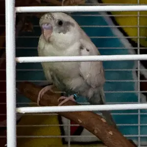 IMG_7119.webp