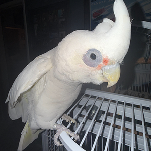 IMG_4572.webp