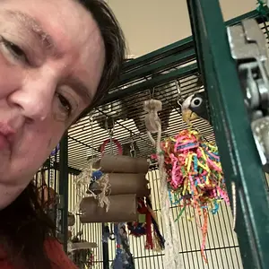 Vortex peek with NL beside cage.webp