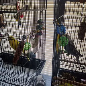 IMG_20250708_162142508_HDR (3).webp