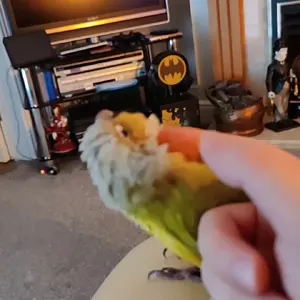 Record_2025-07-23-00-54-23.mp4