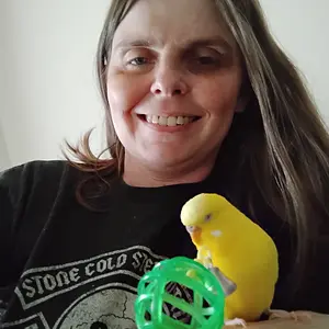 Media '1000017001.webp' in category 'Budgies, Parakeets, and Cockatiels'