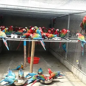 The Assistance Station