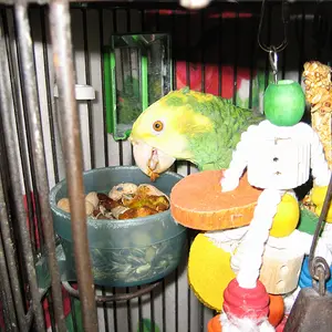 Chico's Always Happy!!