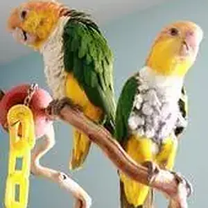 Sadie And Butch