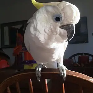 Handsome Boy!