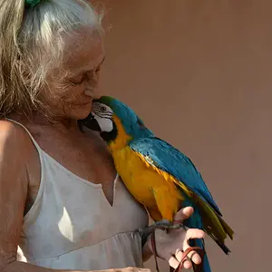 Pokey And Mommi