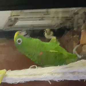 Babe Having A Snack