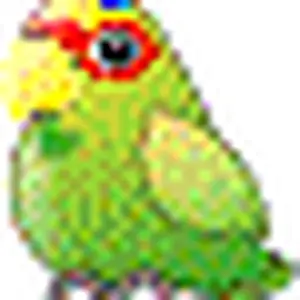 White Fronted