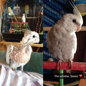 What A Difference A Month Makes!