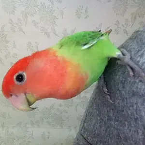 Epsilon