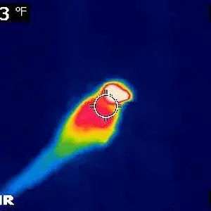 Thermal Image Of Clark