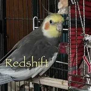 Vortex Charlie Redshift Yvons Quasar Banner Small.webp