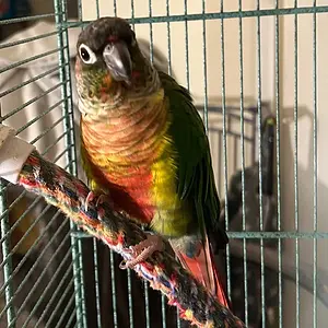 QUasar first day home_more new pix_sept 28_2025.webp