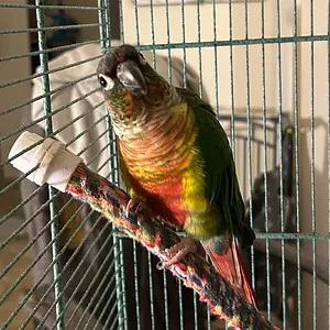 QUasar first day home_new pix_sept 28_2025.webp