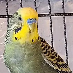 20250309_141719.webp