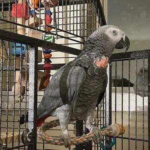 Yvons again_Oct 21_2025.webp