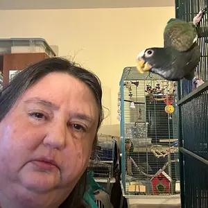 NL and Vortex_Good.webp