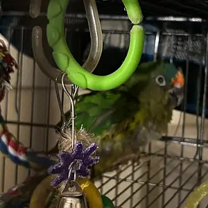 Charlie_nov 8 2025.webp