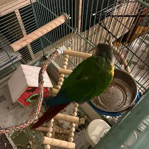 Quasar_Nov 8 2025_1.webp