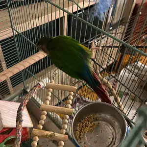 Quasar_Nov 8 2025_2.webp