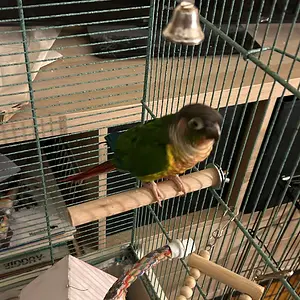 Quasar_Nov 8 2025_3.webp