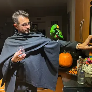 Media 'It's not date night until Uglow arrives.' in category 'Eclectus'