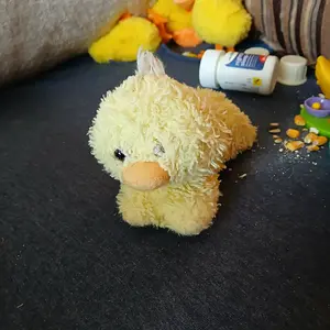 Media '20251120_091707.webp' in category 'Conures'