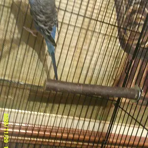 Screenshot 2025-11-29 6.47.28 PM.webp