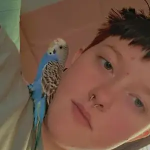 Screenshot 2025-11-25 5.34.58 PM.webp