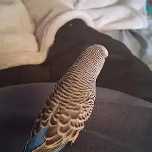 Screenshot 2025-11-29 7.15.50 PM.webp