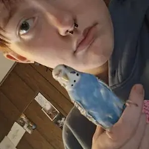 Screenshot 2025-11-29 7.15.45 PM.webp