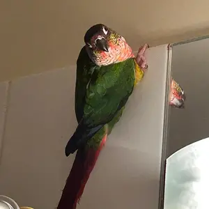 Tailgate beside mirror_Dec_3_2025.webp