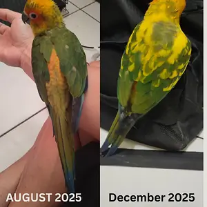 Aesthetic Fashion Photography Brand Photo Collage Instagram Post_20251231_085931_0000.webp