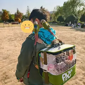 Media '02.webp' in category 'Amazons'