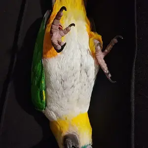 WhatsApp Image 2026-01-07 at 1.29.57 PM.webp