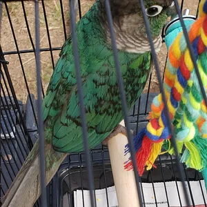 20260115_203159.webp