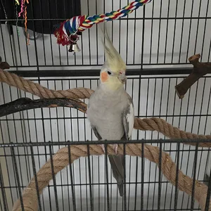 20260815_172116.webp