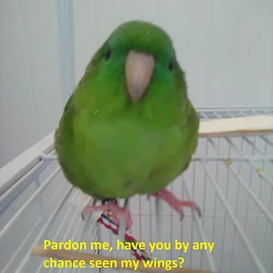 1788354526035.webp