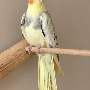 739aaa7b-6957-4c80-a0d9-1d52da2fc062.webp
