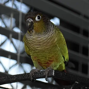DSC_1317.webp