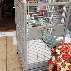 Enzos New Cage