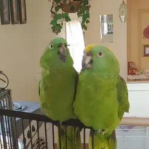 Max & Hannah