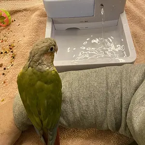 Stanley