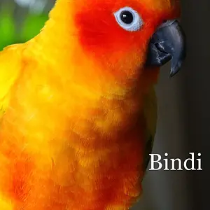 EB841724-8974-4B20-A9B8-3D0C729B7B0D.jpeg
