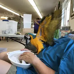 user30334_pic18375_1501203474.jpg