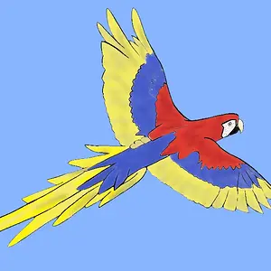 Flying scarlet macaw