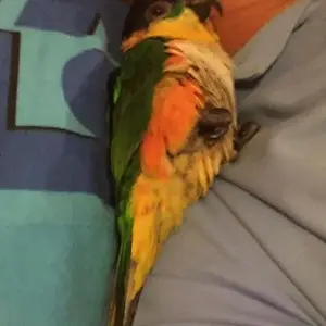 Taking a nap with me